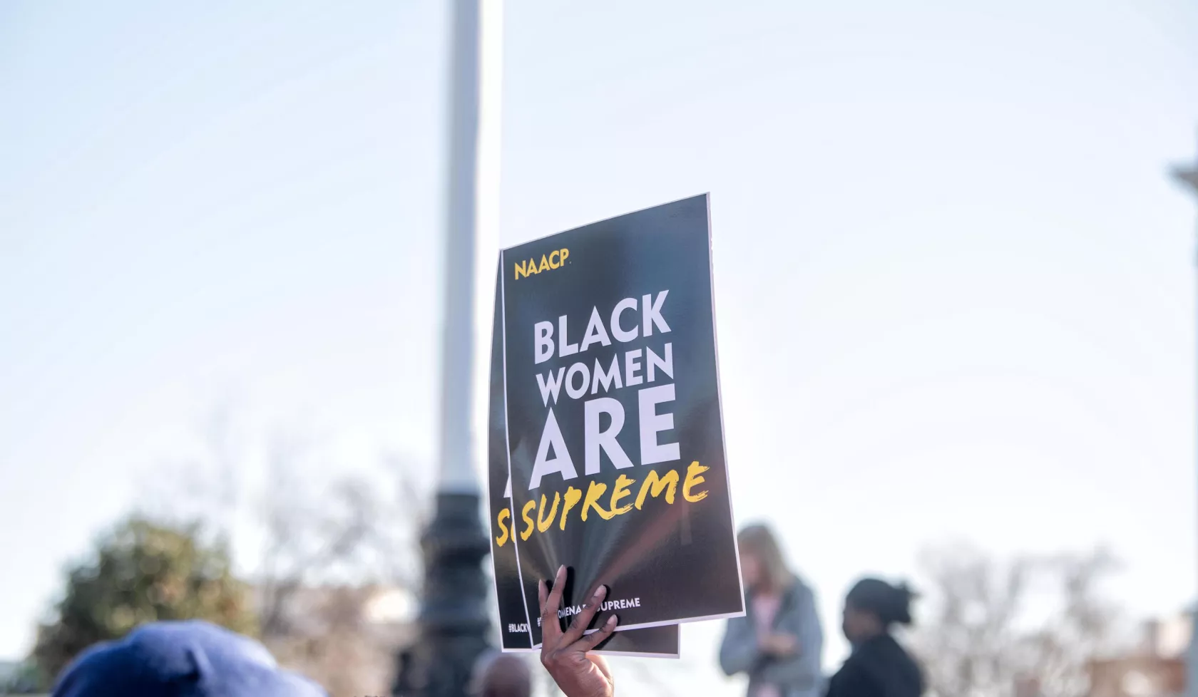 Holding Black Women are Supreme Sign Up