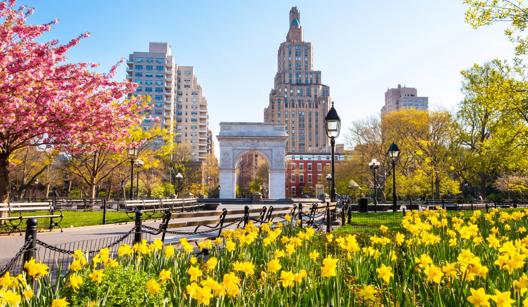 Flowers Blooming in Washington Park in New York City