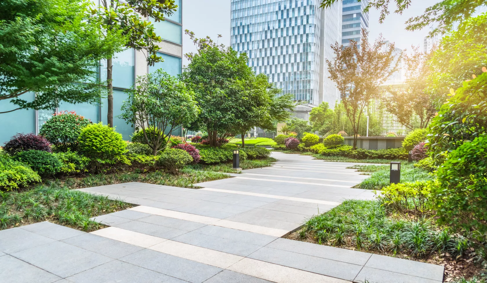 Courtyard and Buildings Surrounded by Green Foliage