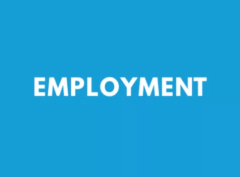 Employment Graphic