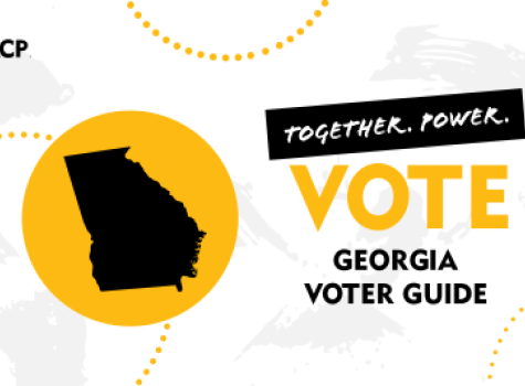 Georgia State Voter Guide Hero