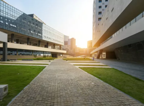 Vast Campus Building Windows Gleaming in the Sunlight