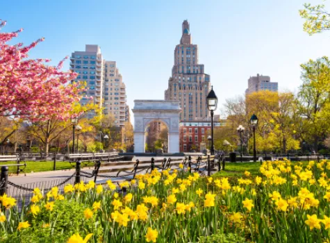 Flowers Blooming in Washington Park in New York City