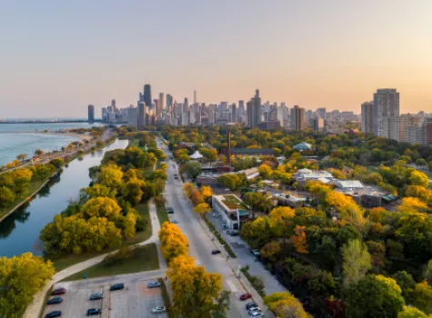 City Skyline in the Summertime