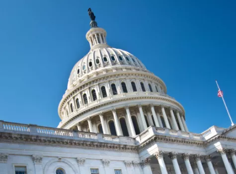 The U.S. Capitol Building - Daylight