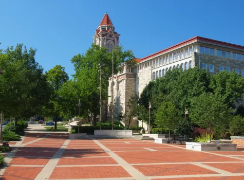 Campus Courtyard and Buildings in the Summertime