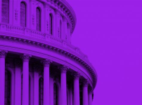 Purple Congress