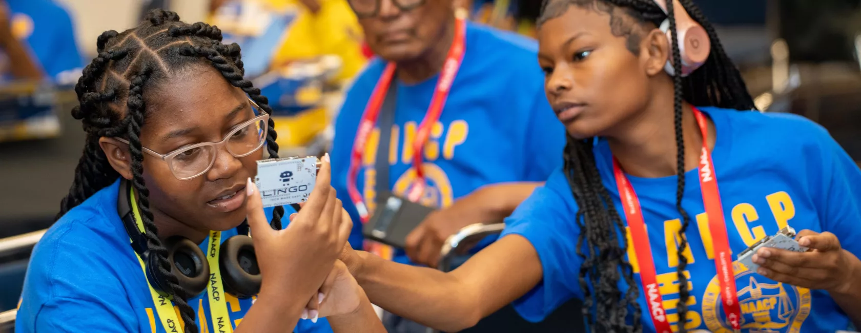 Y&C Stem Activation